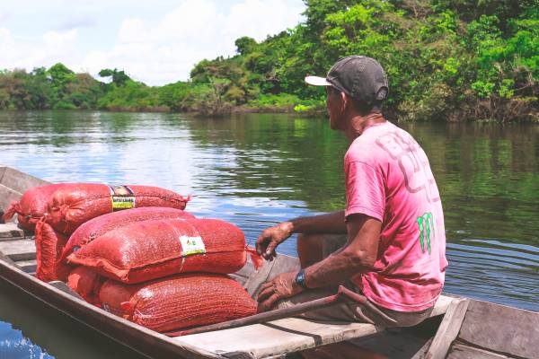 Homem em canoa levando sua colheita para venda.