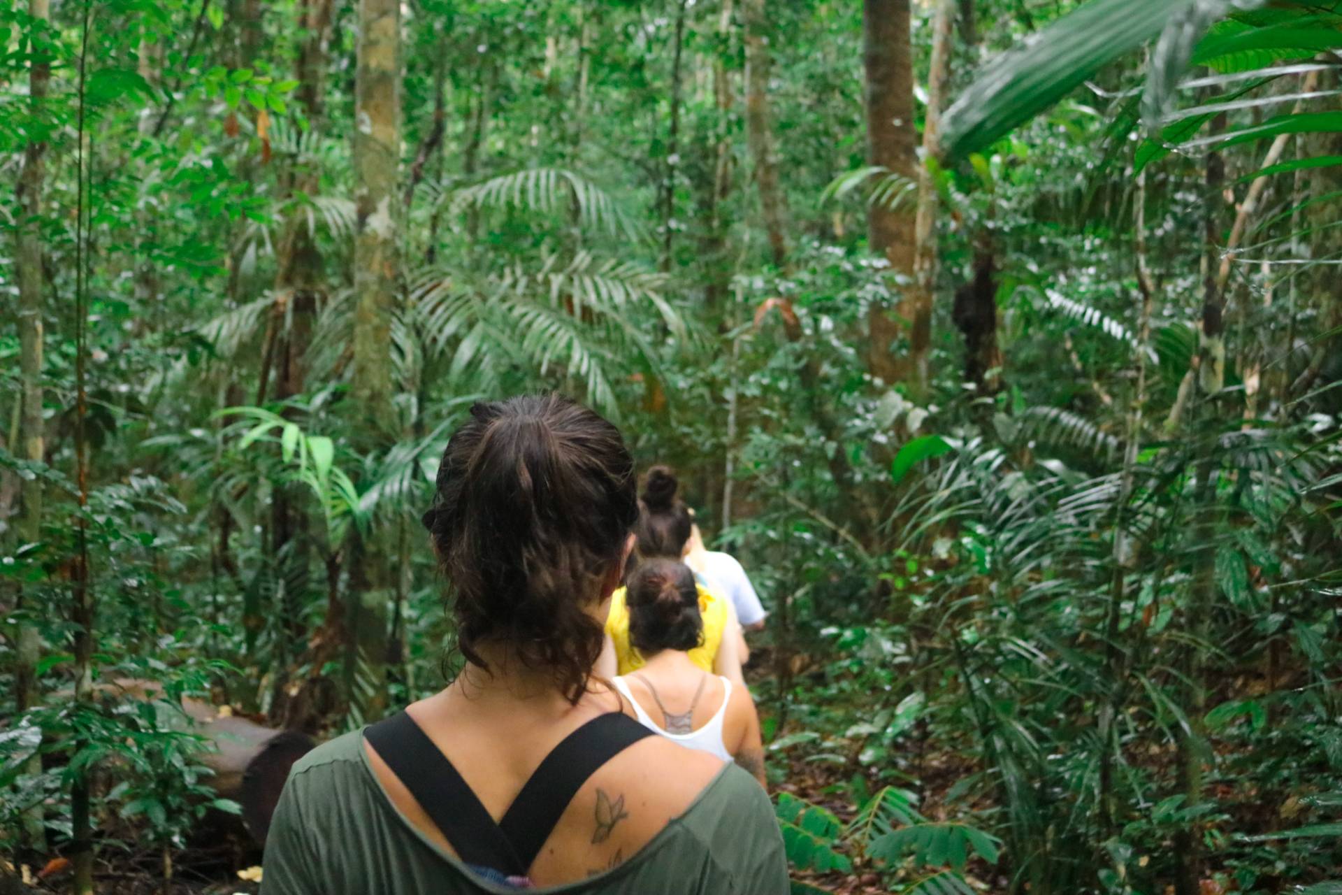 Pessoas fazendo trilha na Amazônia.