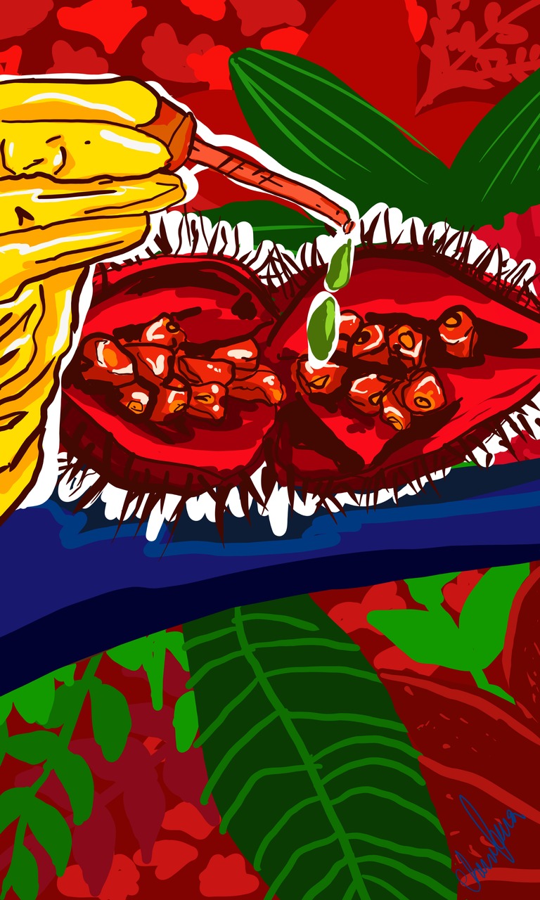 Ilustrações de itens da Amazônia.