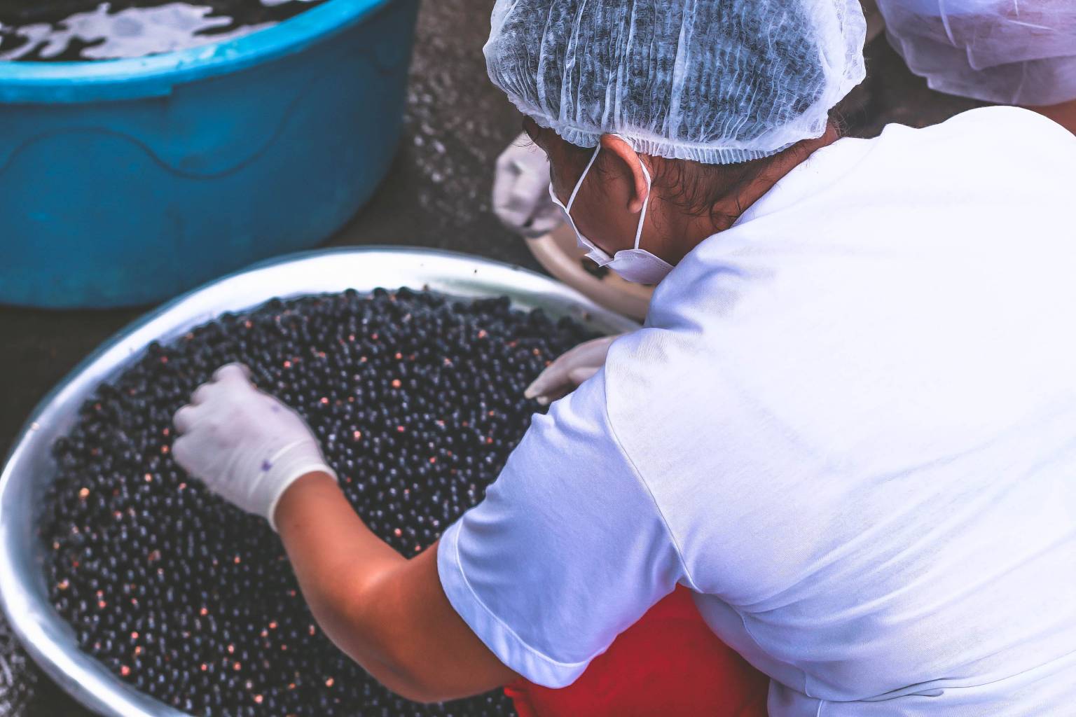 Mulher lavando açaí.