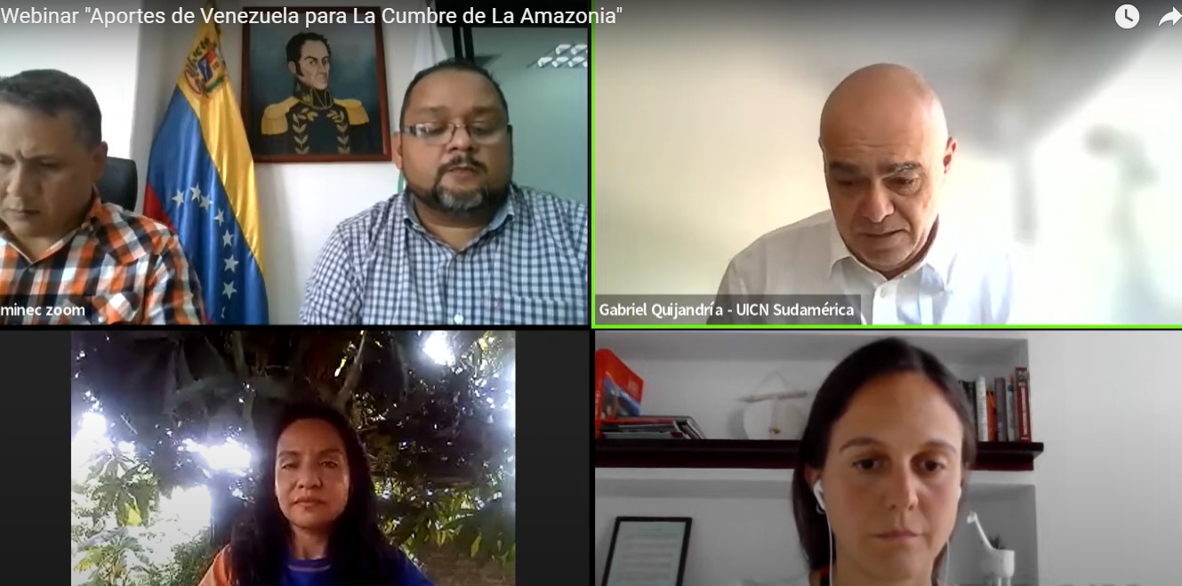 Imagem de webinar promovido pela Fundação Amazônia Sustentável (FAS) e SDSN.
