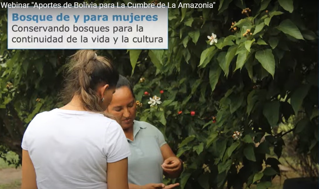 Imagem do Webinar "Aportes de Bolivia para La Cumbre de La Amazonia".